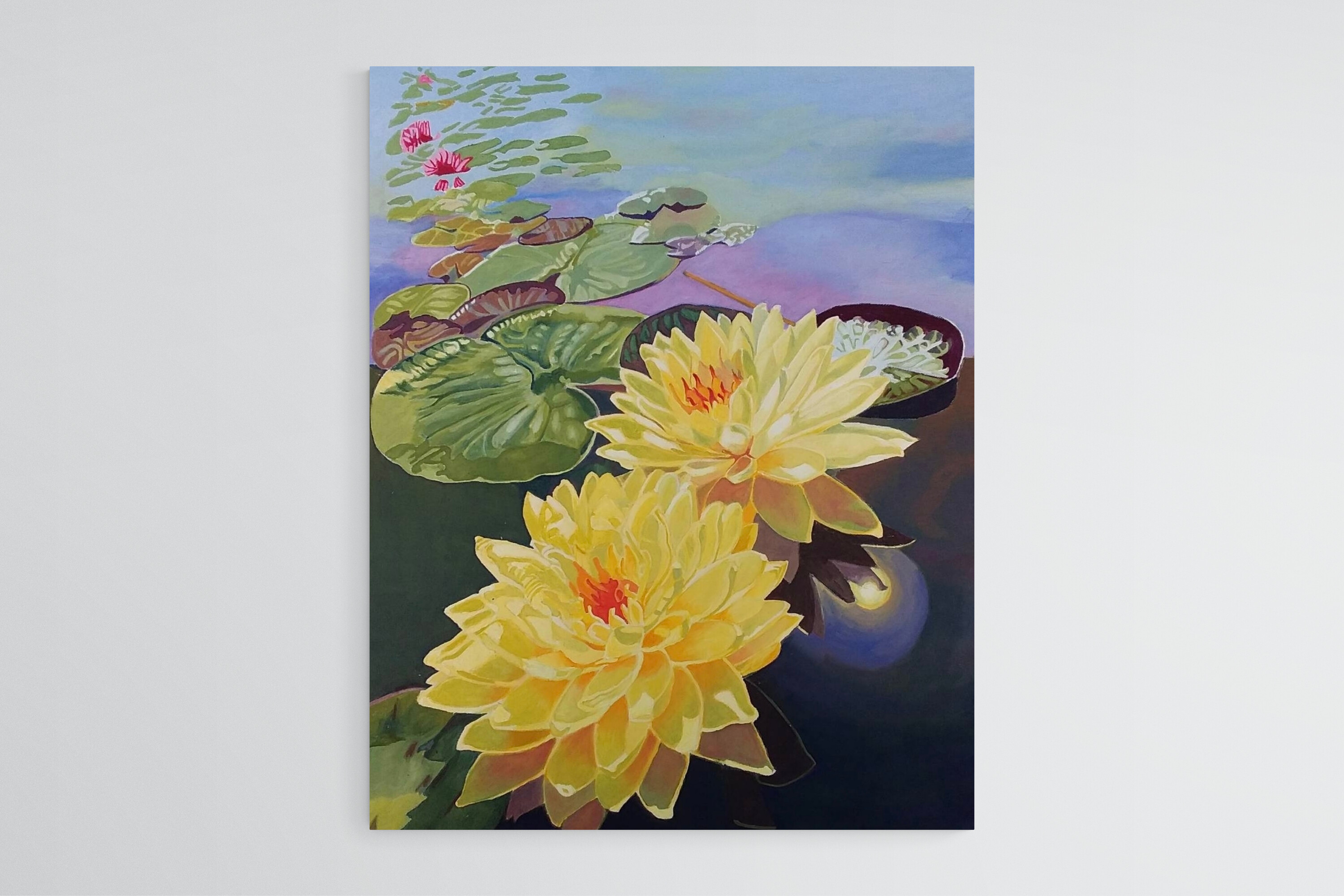 Findarts Collection: Concordia Water Lily by ธีรวัฒน์ เลิศวิไลกุลนที